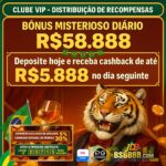 BSB 888